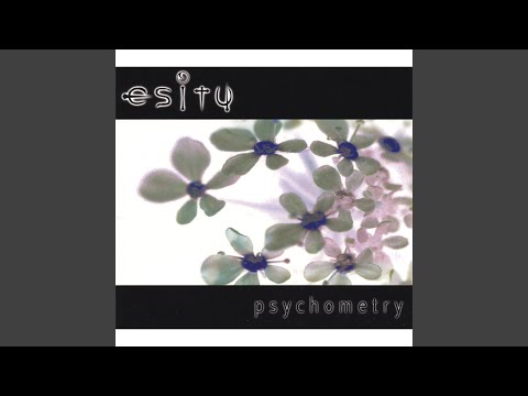 Echo Video