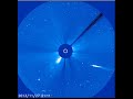 Did Ison Have A Companion images Did Ison Have A Companion