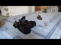 Review Camera Nikon D5100 em Portugu