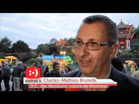 Montréal and Shanghai,