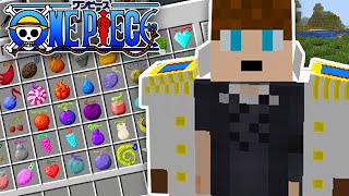 Tous Les Fruits De Mine Mine No Mi Partie 1