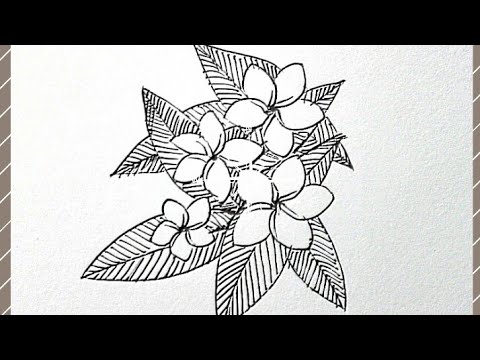 วาดรูป ดอกไม้ น่ารัก ลายเส้น ง่ายๆ by Mr. อ๊อซ BM.
