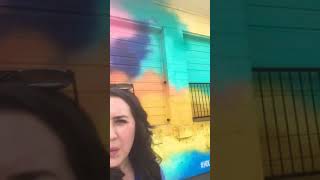 "Holi Mural," Parkhill neighborhood-Liz Richter Louisville Mural Tour