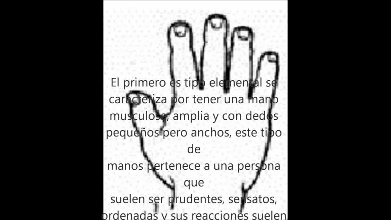 LEER LAS RAYAS DE LA MANO leer las rayas de la mano: