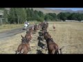 20 Mule Wagon Train