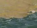 Miracle Of Allah Must Watch images Miracle Of Allah Must Watch