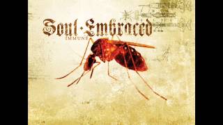 Watch Soul Embraced Someday video