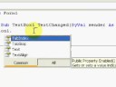 Visual Basic 2008 Tutorial - Cool Password Form