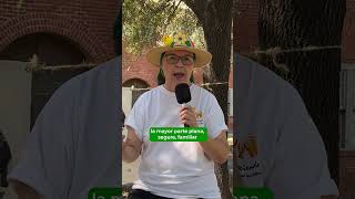 Un Paseo Hecho A Media Para Ti En Parque Fundidora