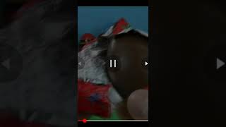 50 Surprise Eggs Ну Погоди Choco Egg