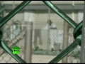 США не спешит закрывать Гуантанамо