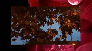 Crushed Beaks - Sky Burial