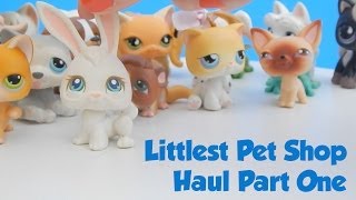 Lps Littlest Pet Shop Goodwill Haul Review Part One