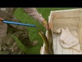 Eye to eye with a yellow anaconda - Deadly 60 - Series 2 - BBC