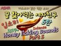 한국어 ASMR❤꿀 먹는 입소리❤여자친구5탄❤Intense licking mouth sounds Korean ASMR NoTalking키스口の音19아님