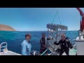 Isle of Jaws (360 Video)