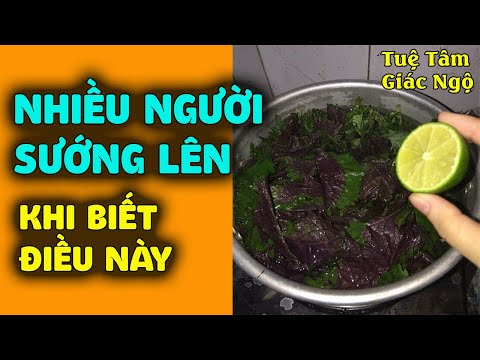 Bất ngờ 8 CÔNG DỤNG MỚI của lá tía tô, nhiều người sướng lên khi biết điều này