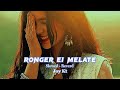 Ronger Ei Melate ( Slowed + Reverd ) Imran & Dilshad Nahar Kona || Dj Song || Use Headphone 🎧