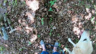 Mar K920 Step 2 Trial 2 Of Dig-Dig Hot Dogs Buried 20Jun2020