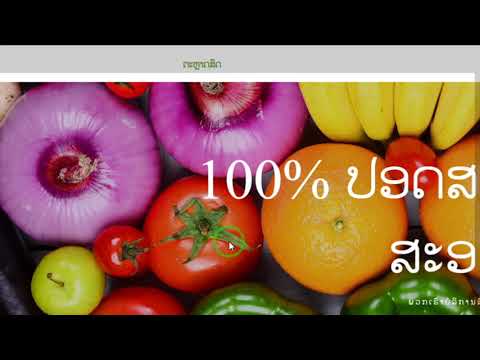 13 Rub company info los rau HTML