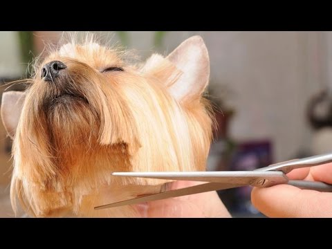 Перетяжка салона (Кожа, экокожа, алькантара) Сообщество « Пересылка денег из России в Англию - как лучше?