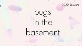 Bugs In The Basement - Bedellia Orchilella aka The Sweetpotato Leafminer