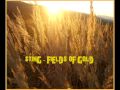 Sting - Fields of gold [HQ] + lyrics