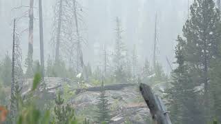 Hunting In Idaho With A Bull Then Wolves Watch A Wolf Howling Hunting In Idaho With A Bull Then Wolves Watch A Wolf Howling
