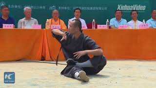Shaolin Kung Fu show wows audience
