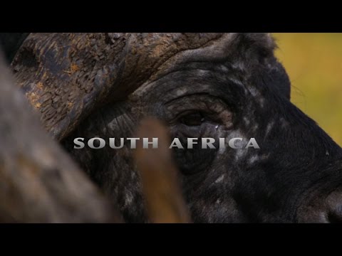 Blaser R8 South Africa Blaser R8 South Africa