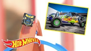 Cruising Through The Car Museum | Hot Wheels Unlimited: Track Builder Edition | Hot Wheels