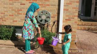Maryam's kindness towards birds and animals_HD Maryam's kindness towards birds and animals_HD