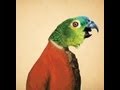 Parrot singing opera (original video)