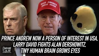 Prince Andrew Now A Person Of Interest in USA, Larry David Fights Alan Dershowitz, Tiny Human Brain