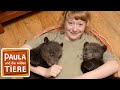 Bärengeschwister #1 | Erste Begegnung | Paula und die wilden Tiere