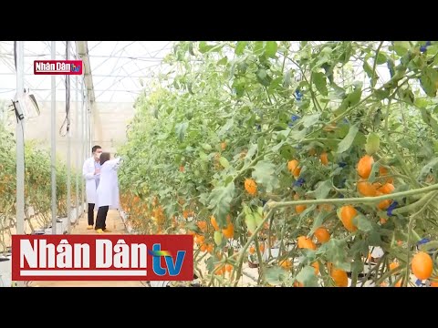 Đẩy mạnh phát triển nông nghiệp công nghệ cao tại Đắk Lắk