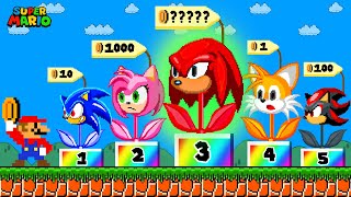 Mario Can Buy Sonic Hedgehog Character Flowers In New Super Mario Bros Wii Game Animation
