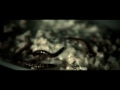 CIRSE - RITUAL [Video Clip Oficial HD]