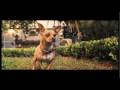 Beverly Hills Chihuahua (2008) Online Movie
