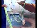 911 Saudi Arabia Try To Save A Camel But They images 911 Saudi Arabia Try To Save A Camel But They