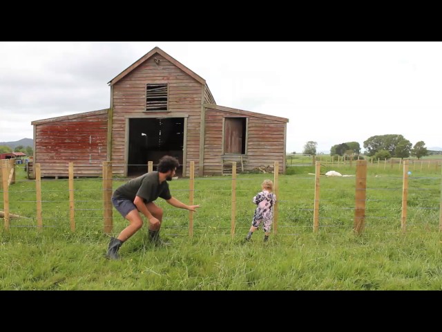 How To Teach A Baby To Climb A Fence - Video