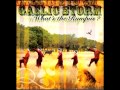 Gaelic Storm - The Samarai Set
