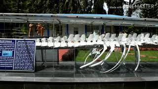 Samudrika Naval Marine museum of Port Blair, Andaman