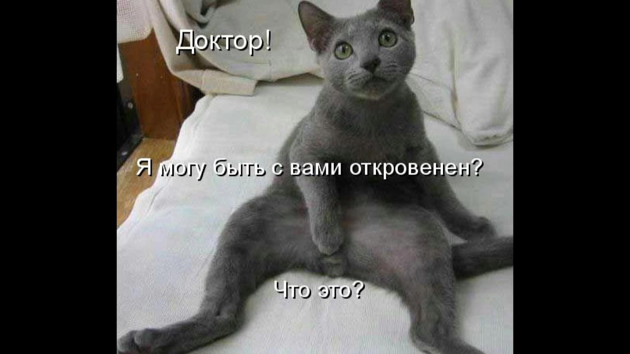 скачать песни про любимую крестницу скачать песни про любимую крестницу