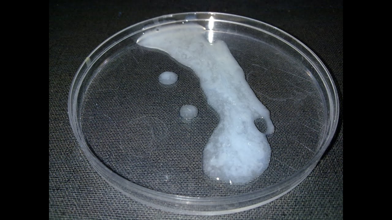 Подбородок в сперме у белобрысой шалавы после секса утром.