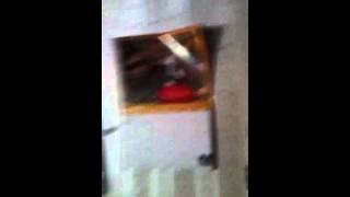 My room please watch My room please watch