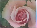 Beethoven Symphony 1-Bernard Haitink .The London philharmonic Orchestra -Liennhu