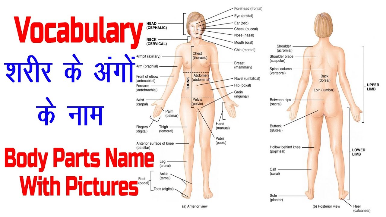 Names of top shemales