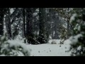 Guillamino - Fang fosc (videoclip)