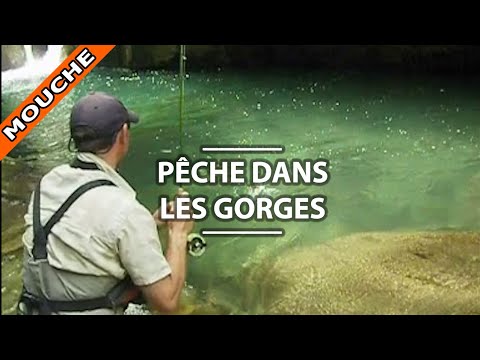 Internet le magasin du sport et la pêche